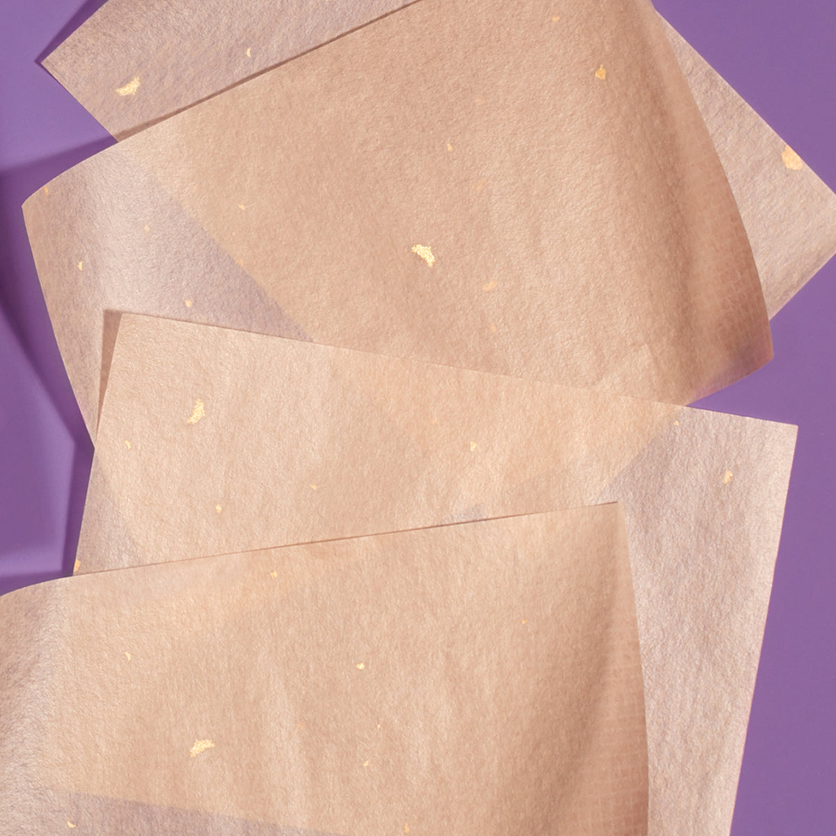 Aburatorigami | Fresh Daily Favorite