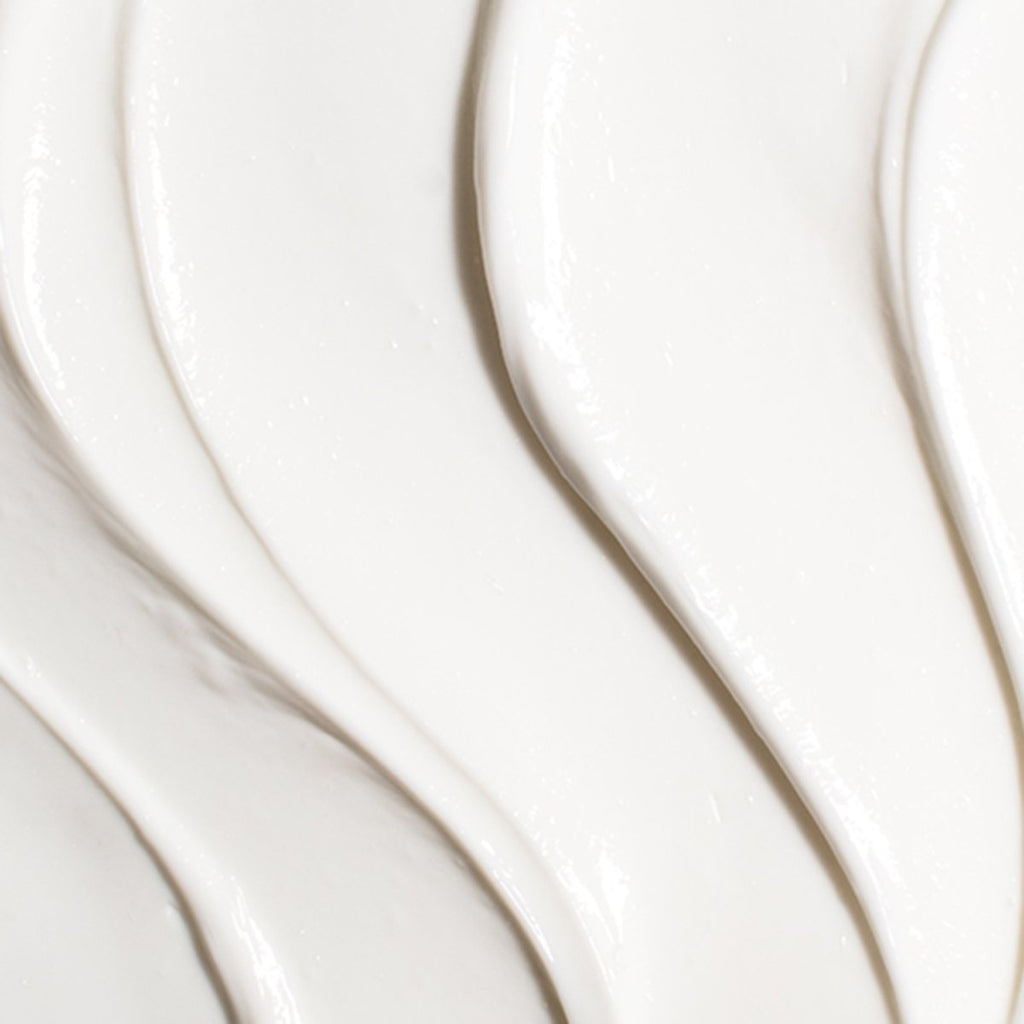 Ageless Revitalizing Neck Cream | Fresh Routine Favorite
