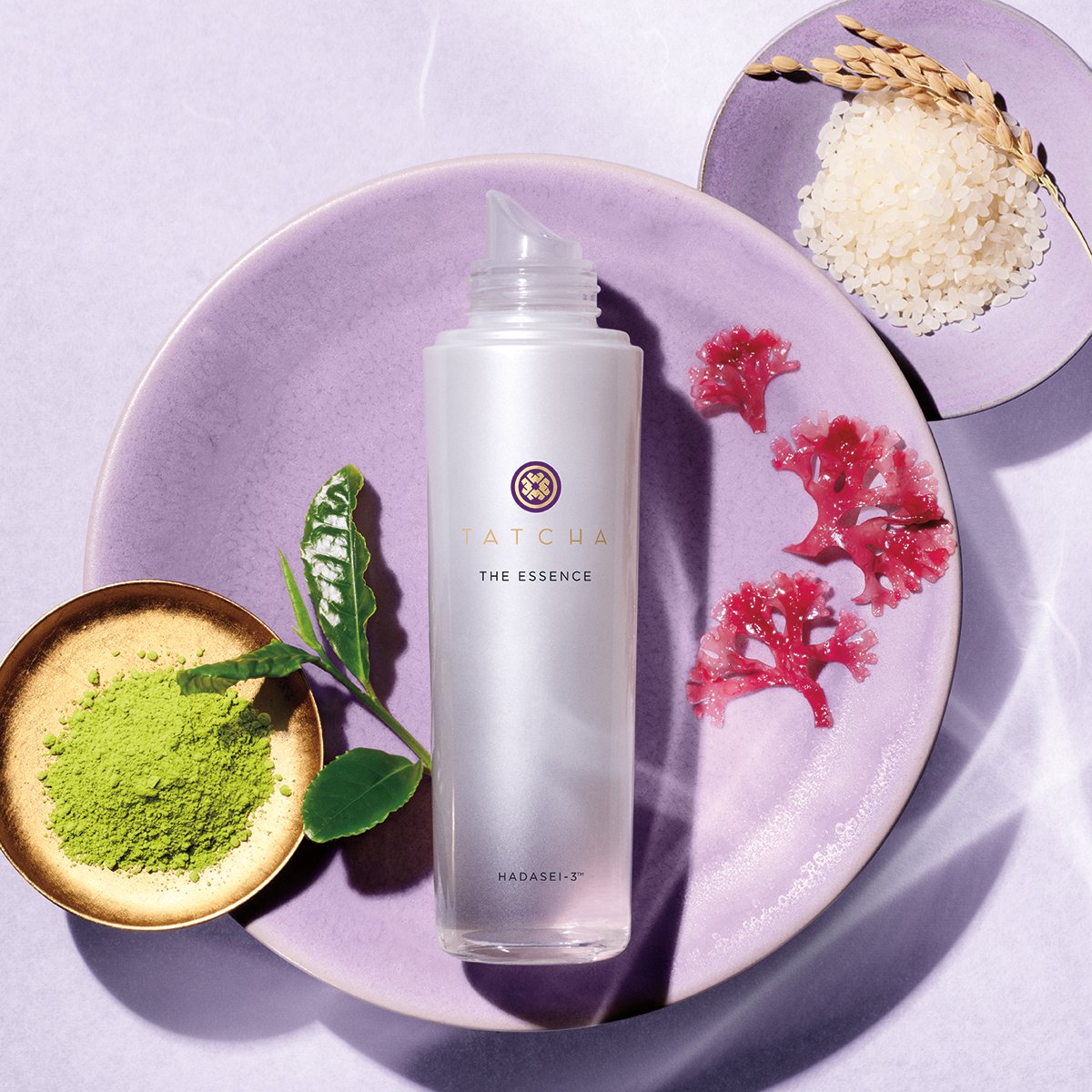 The Essence | Fresh Daily Favorite