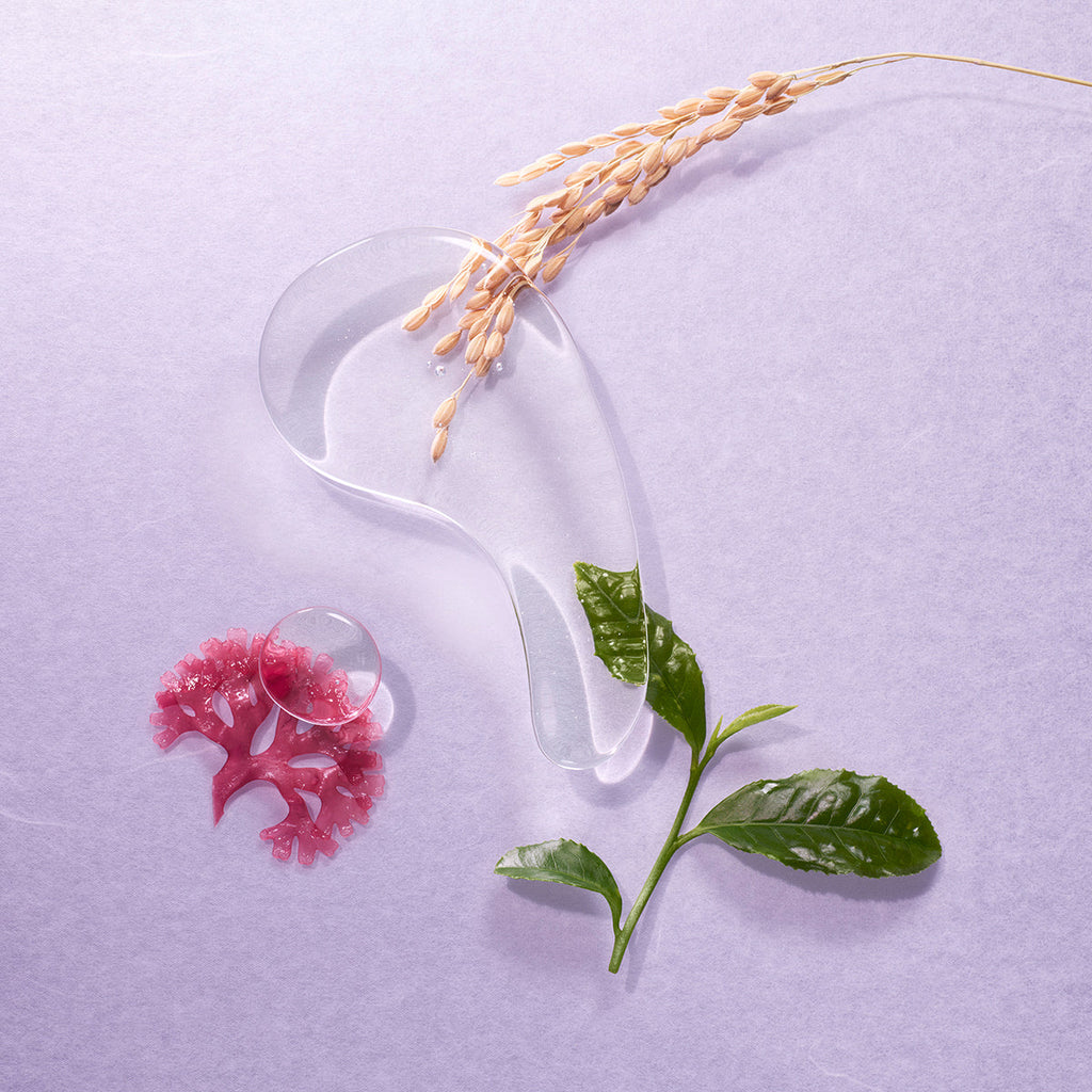 The Essence | Fresh Daily Favorite