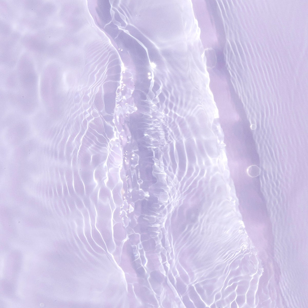 The Essence | Fresh Daily Favorite