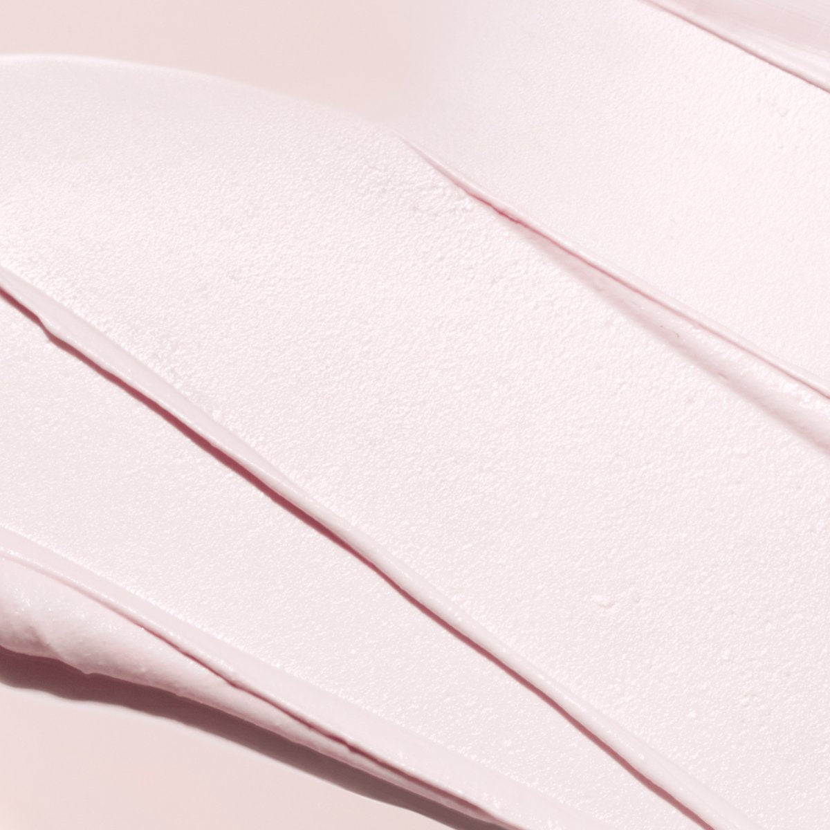 The Silk Canvas | Fresh Daily Favorite