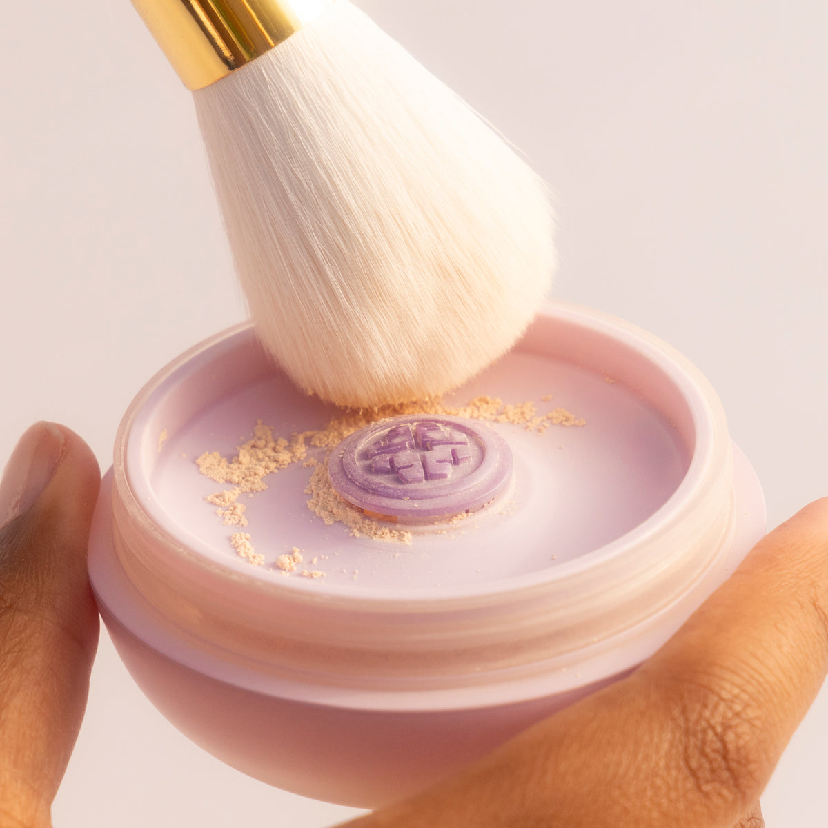 The Silk Powder | Fresh Daily Favorite